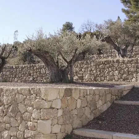 Villa Olivera