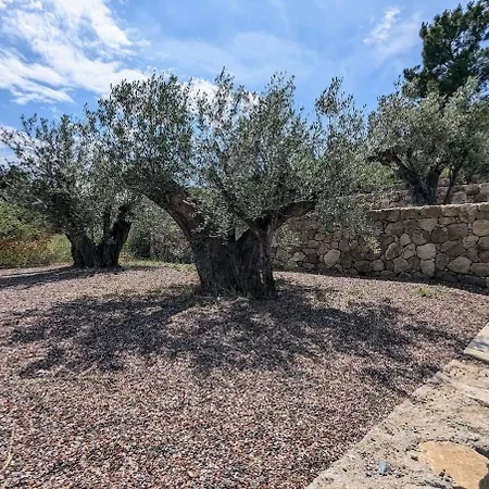 Olivera Villa