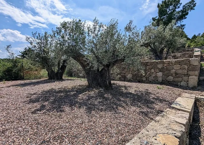 Olivera Villa